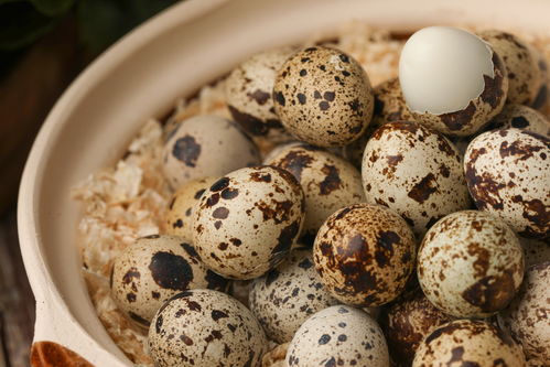 去壳鹌鹑蛋食品蛋类食品摄影图 摄影